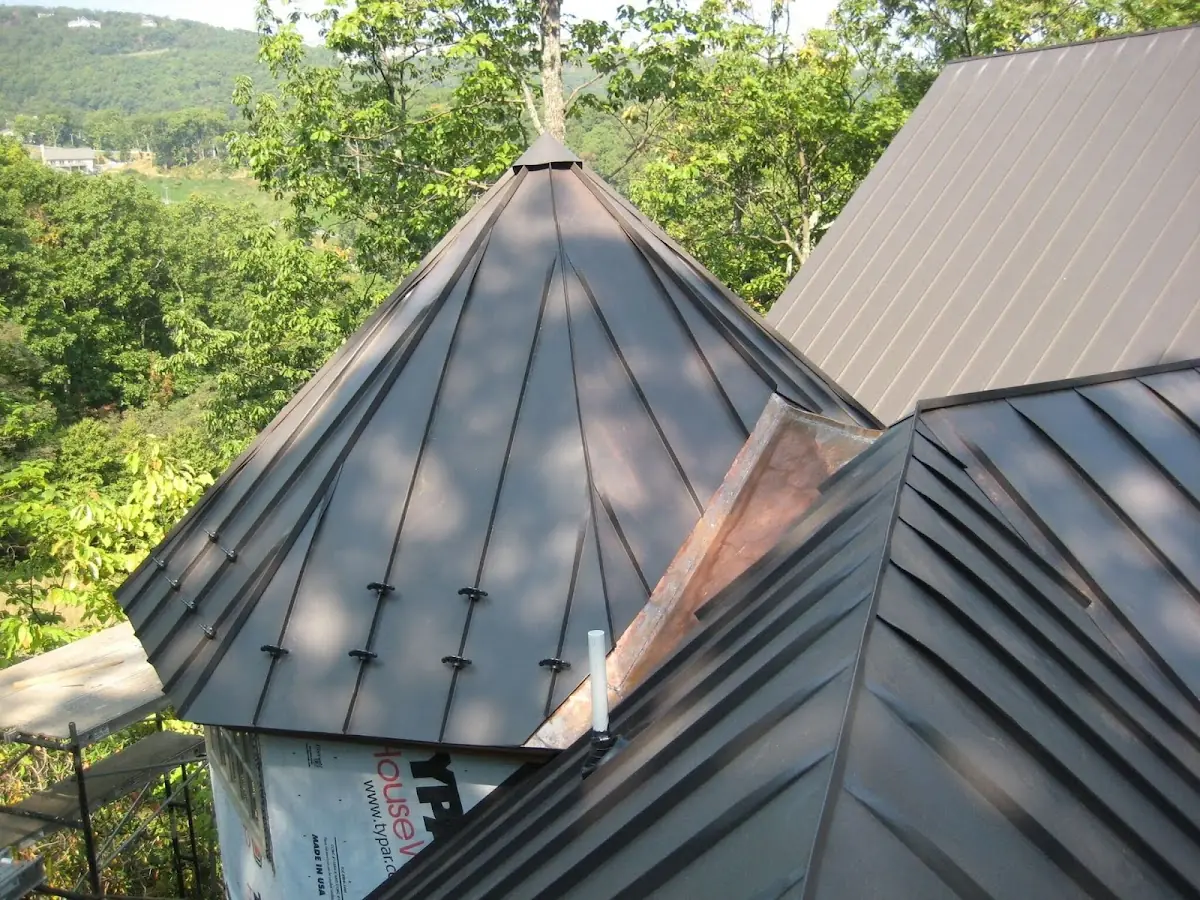 Professional Gutter Cleaning by Craftsman Roofing in Meridian Park